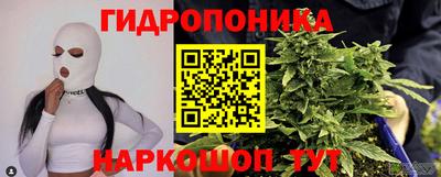 стафф Аргун