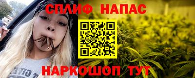 крисы Гатчина