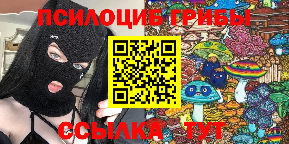 Галлюциногенные грибы прущие грибы Владимир