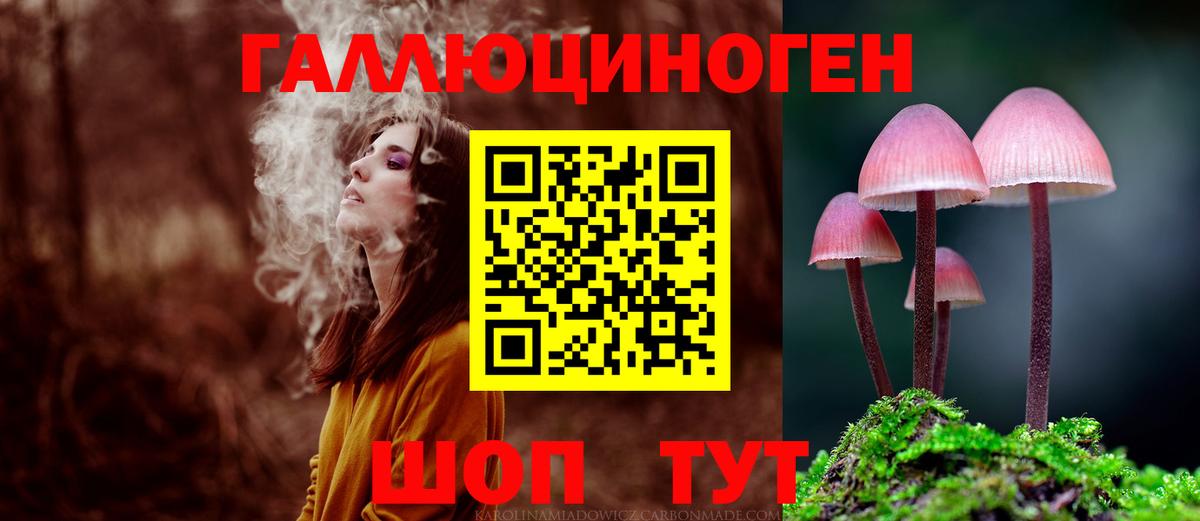 Псилоцибиновые грибы прущие грибы  дарнет шоп  Владимир  Вход с VPN 